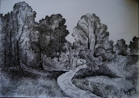 /album/kresba/p1170889-640x452-jpg/